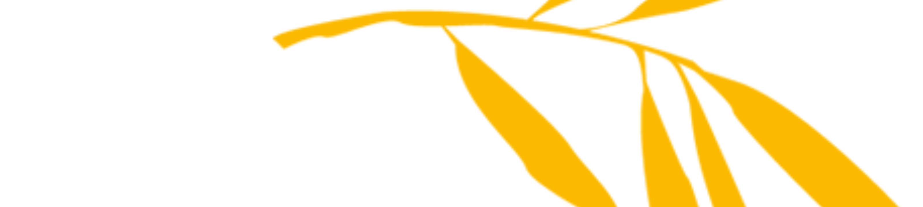 Fox & Company Lawyers cover