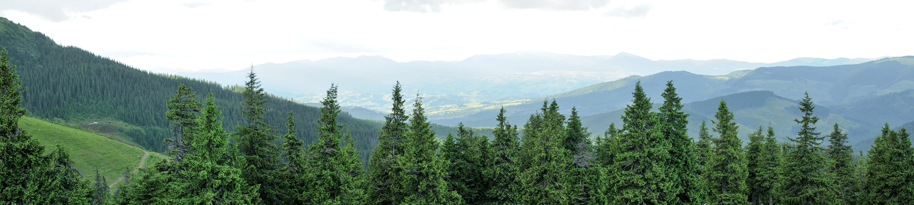 Laura Robinson cover