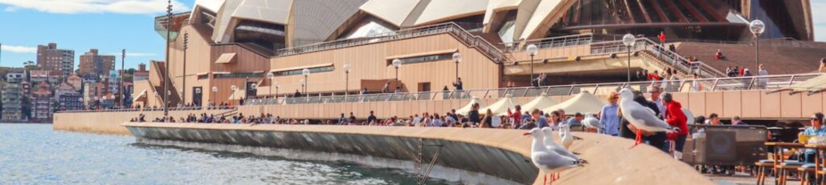 George Staninovski cover