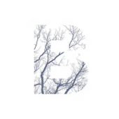 Antoinette Campbell from Bowral Legal