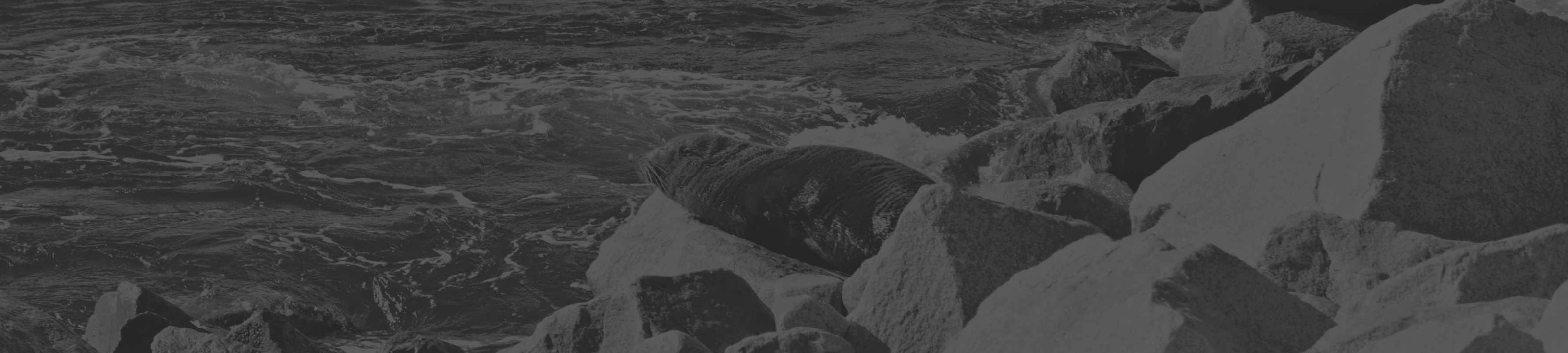 Kennedy & Cooke Lawyers cover