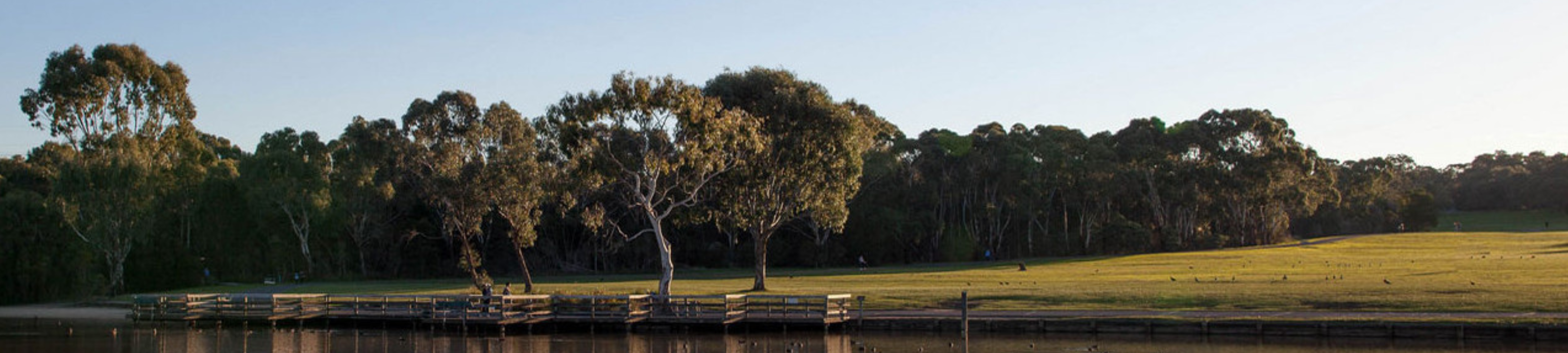 AIF Lucas & Co. cover