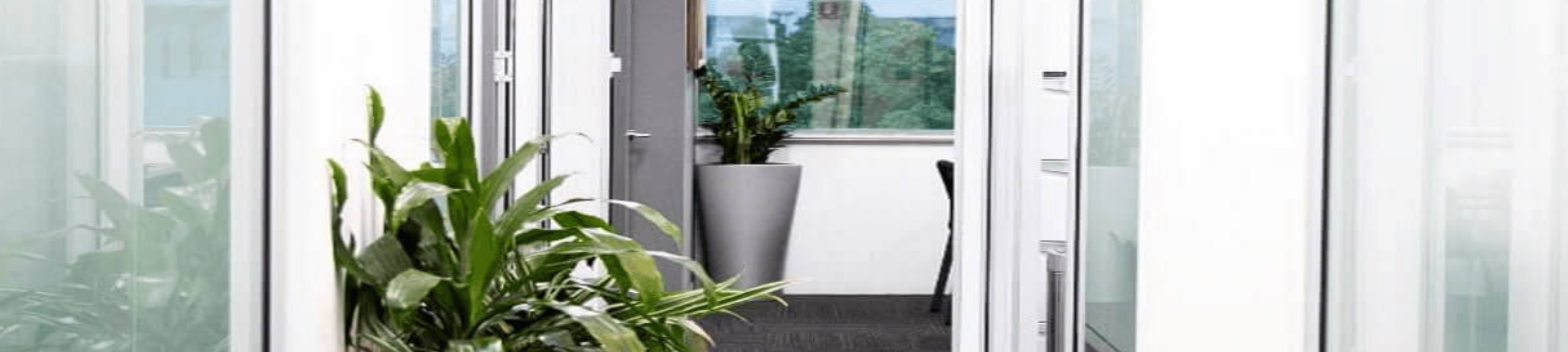 Georgi Georgieff cover