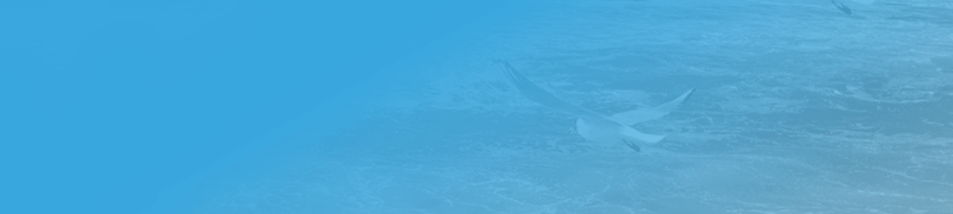 Byrnes Family Law cover