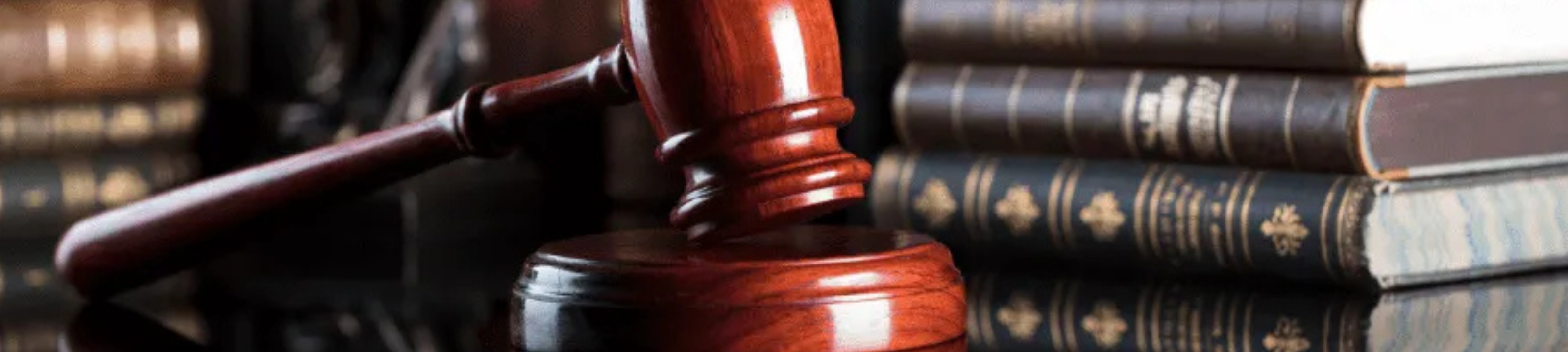 Penelope Stevens cover