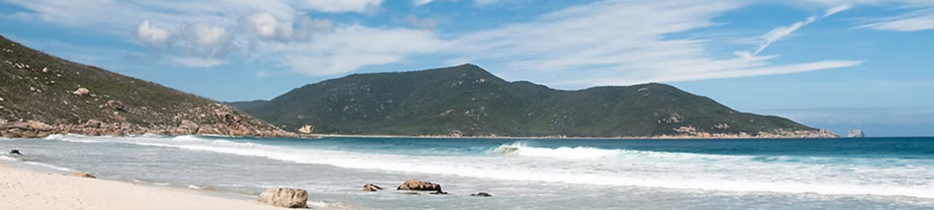 Burdon-Smith and Associates  cover