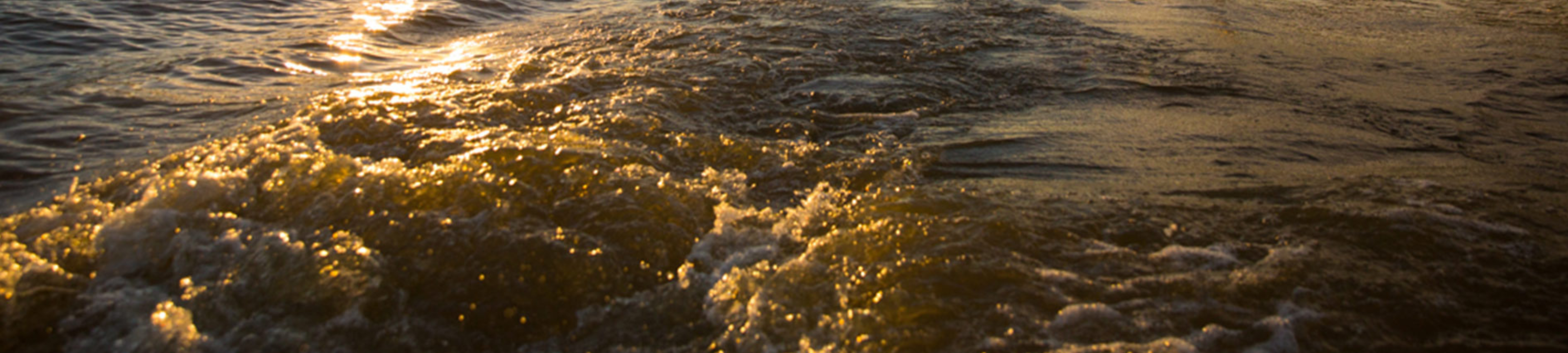 Davies Watson Lawyers cover