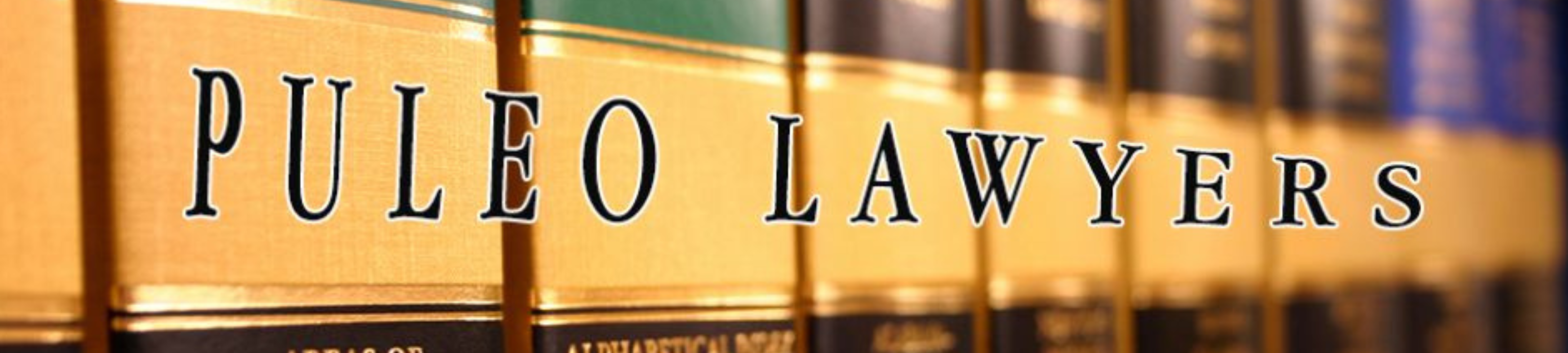 Puleo Lawyers cover
