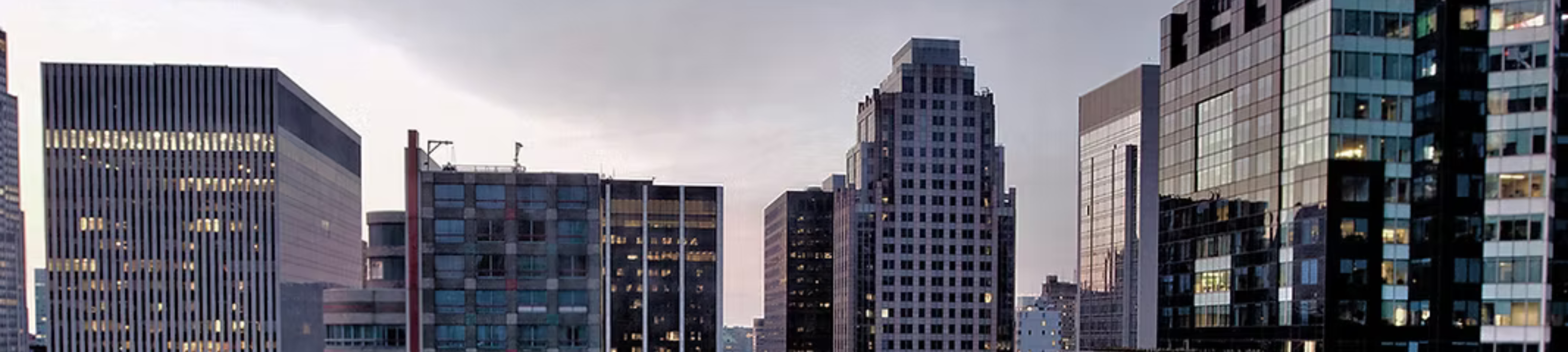 Vanessa Nguyen cover