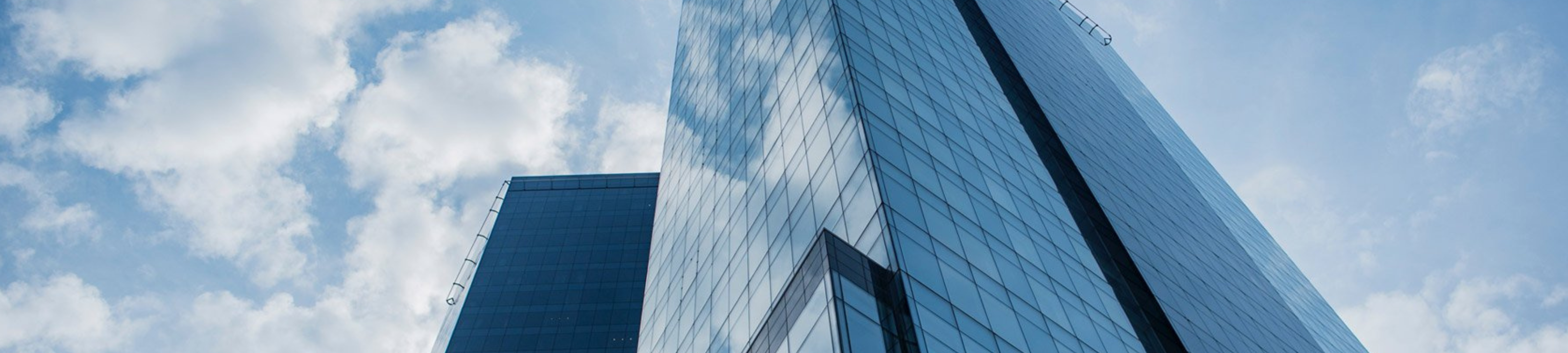 Louise Peta Bedsor cover