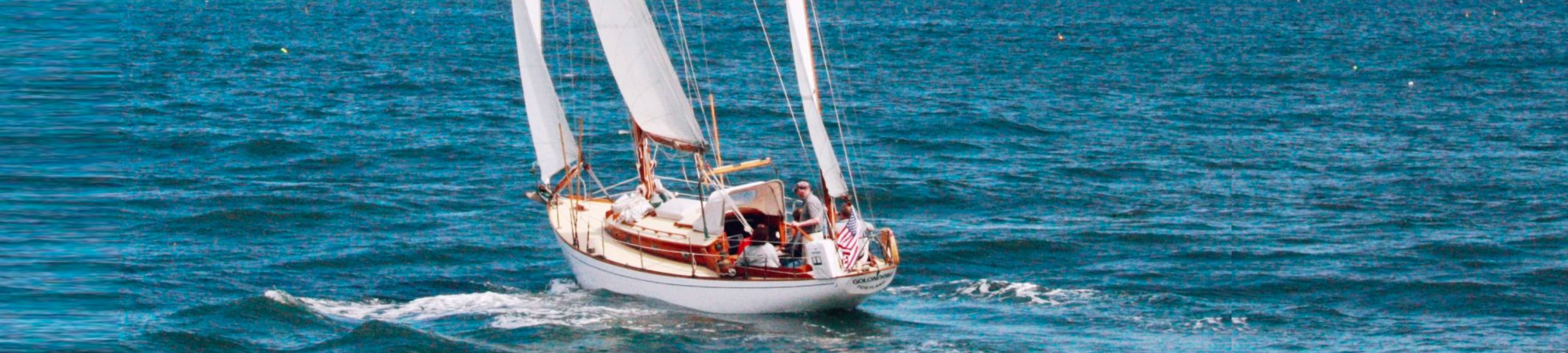 Denis Williams cover