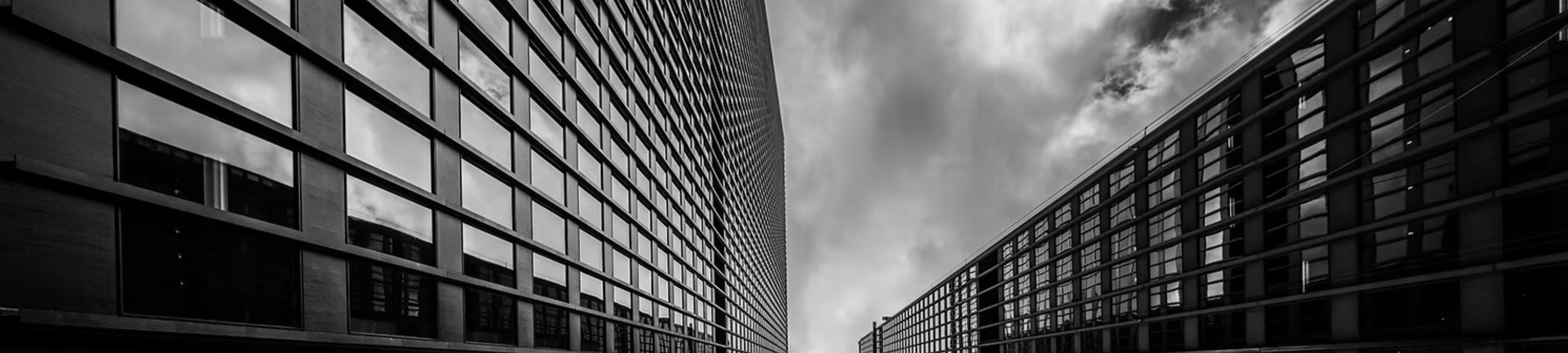 Palmer Stevens and Rennick cover