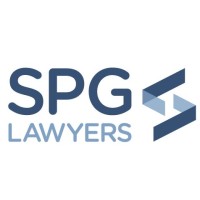 Litigation Partner