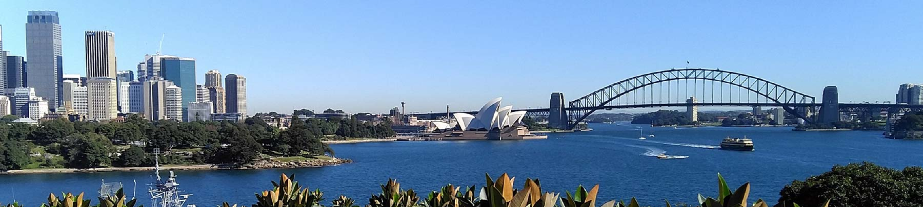 Norbert Schweizer cover