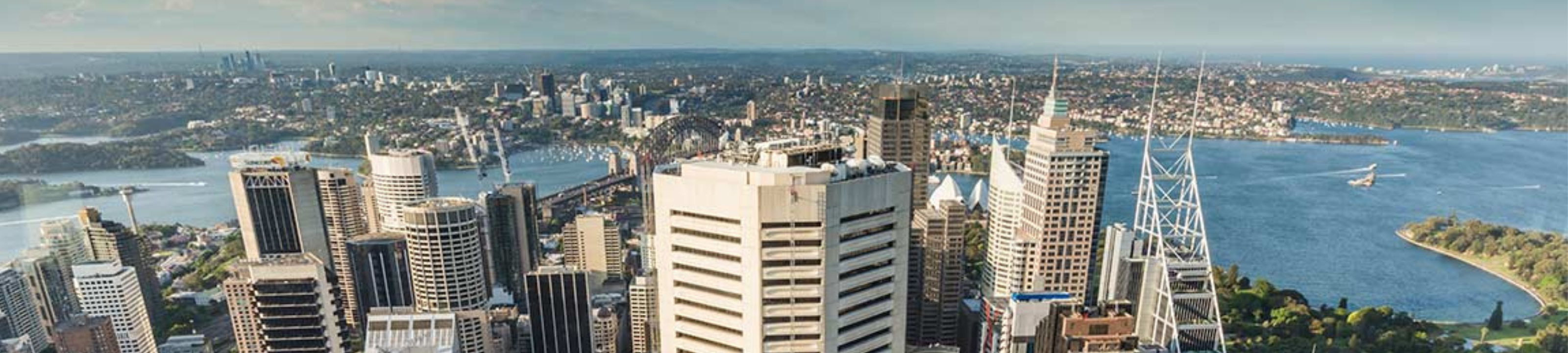 Shane Koelmeyer cover