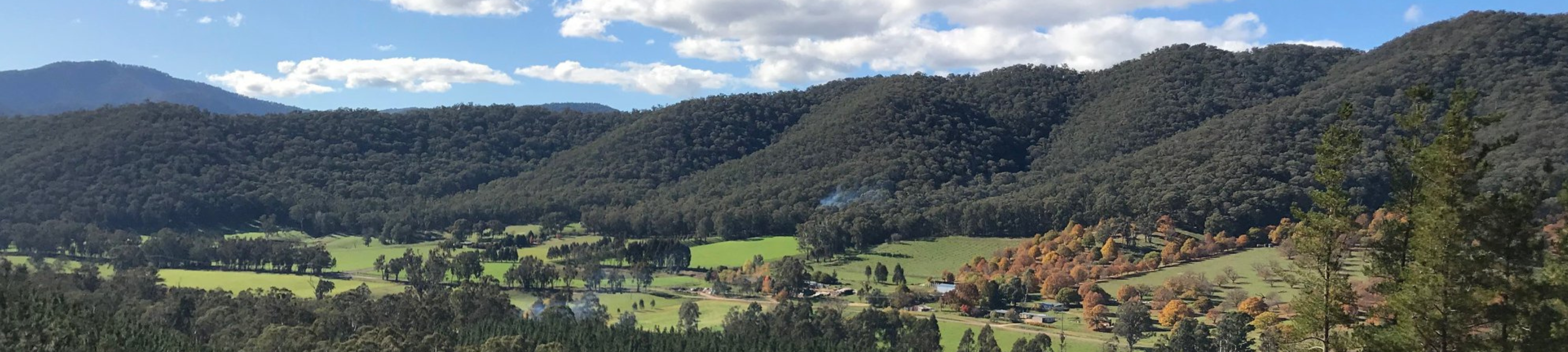 Nevin Lenne Gross cover