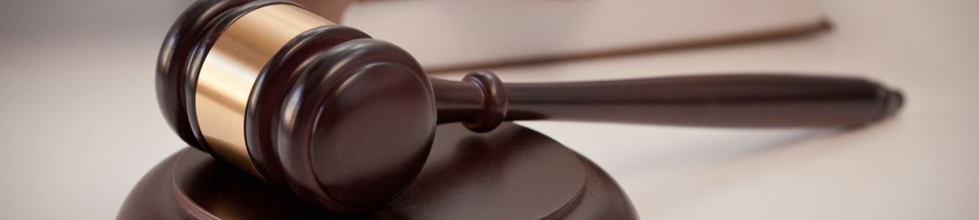 Teresa Adornato cover