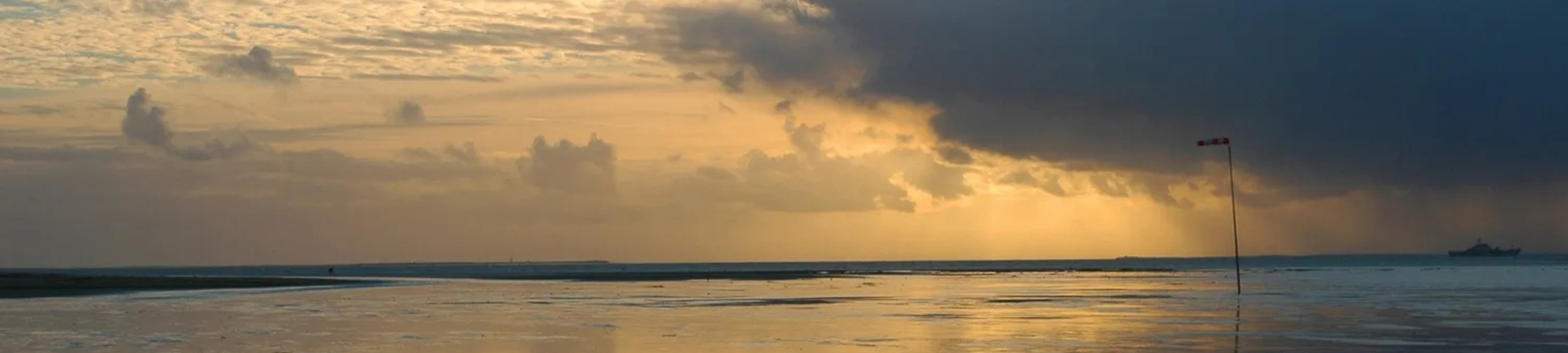 Adam & Associates Lawyers cover