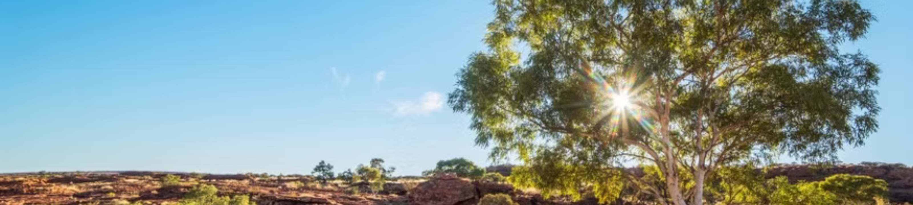 Bonnie-Jean McCormack cover