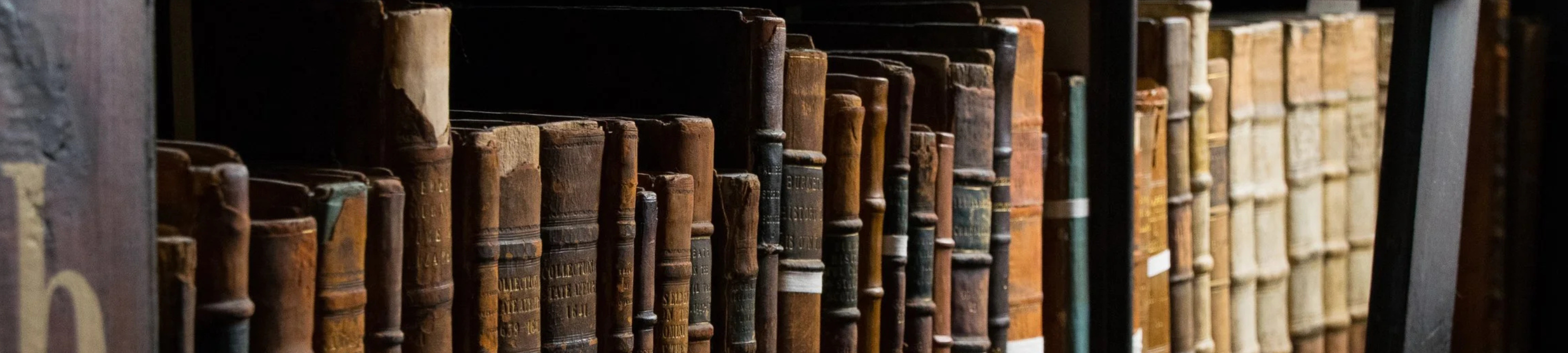 Verity Williams cover