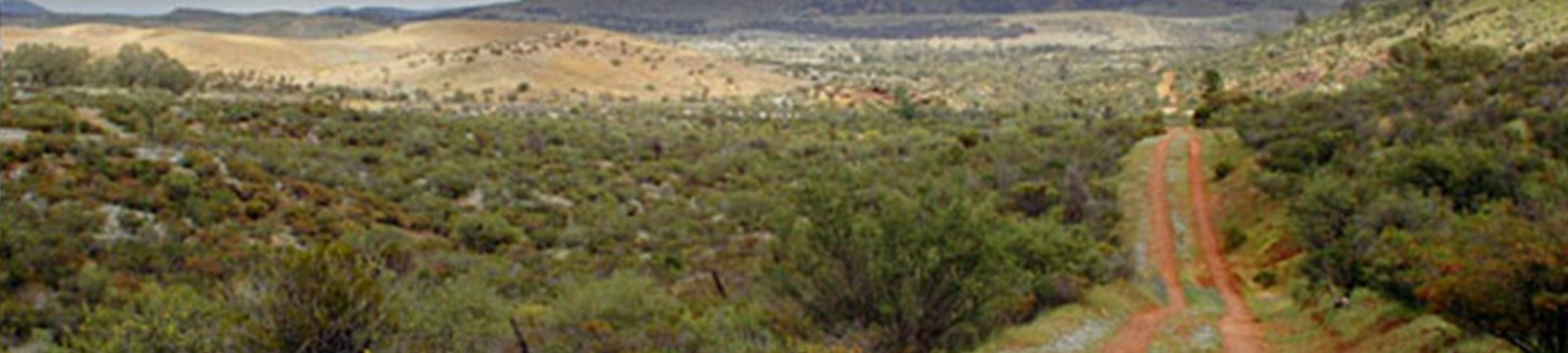 Roone Richardson Lawyers cover