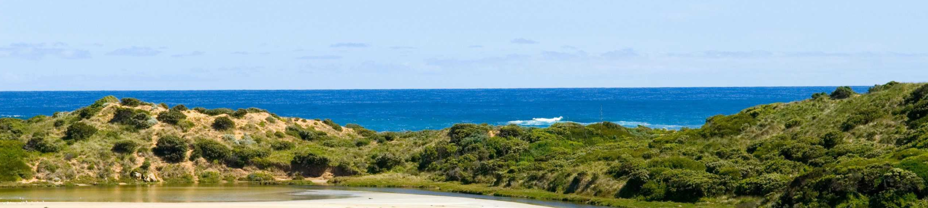 Irvine Lawyers cover