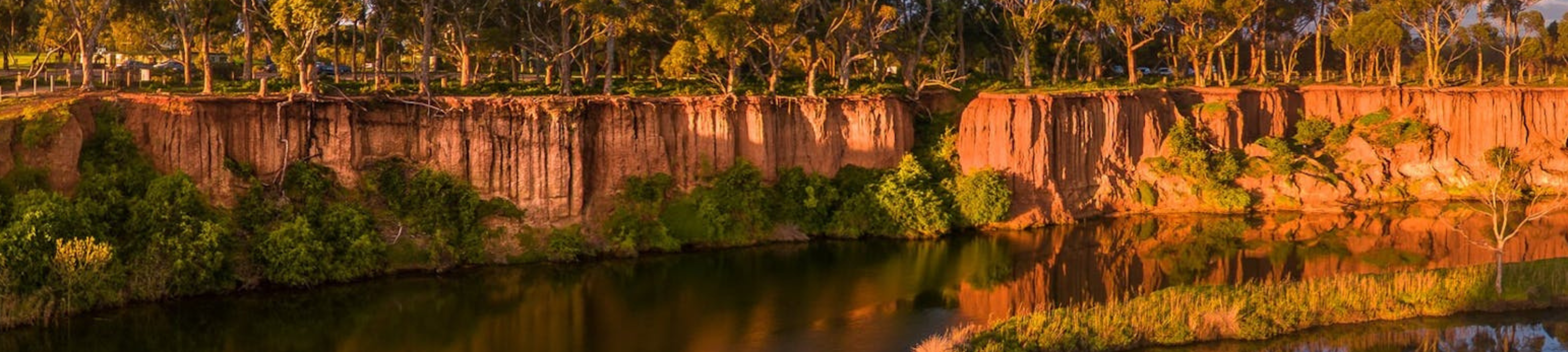 Anthony Purcell cover