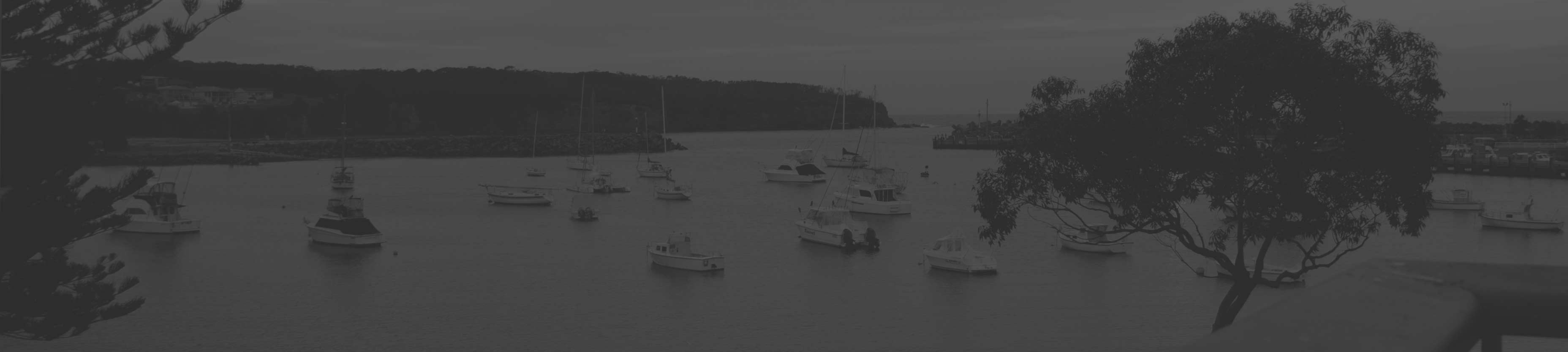 Dianne L'Estrange cover