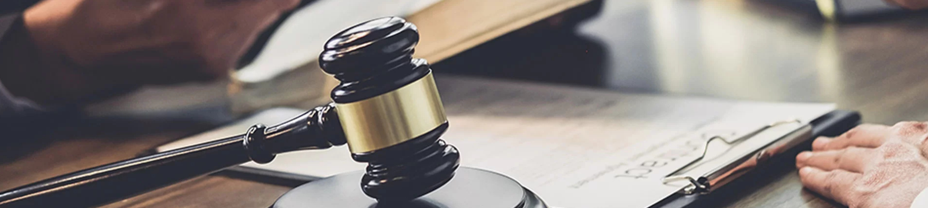 Prakash Raniga cover