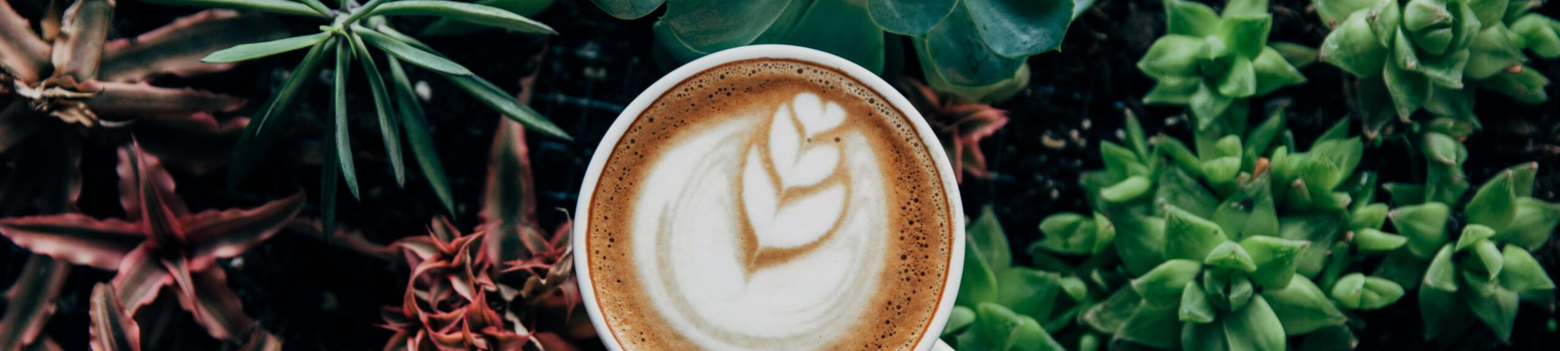 Katrene Halteh cover