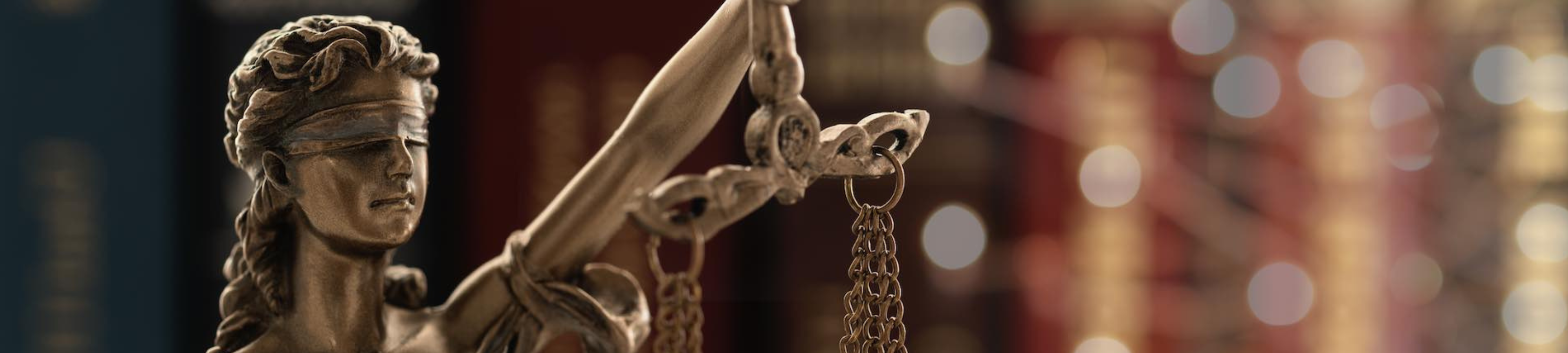 William Hamoui cover