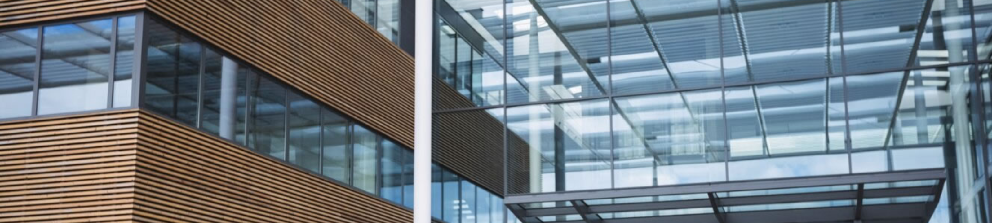 Agostinho Daloia Neto cover