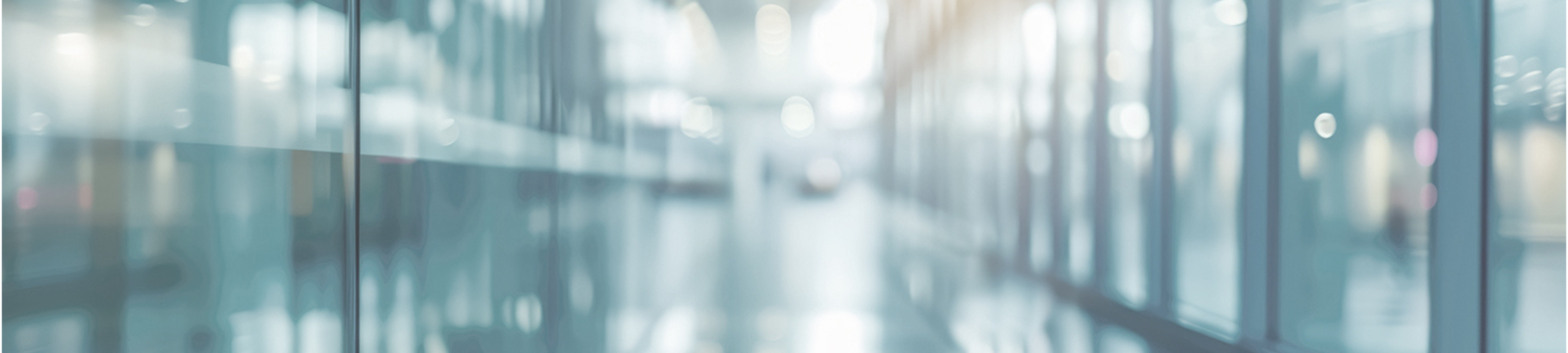 Rob Silberstein cover