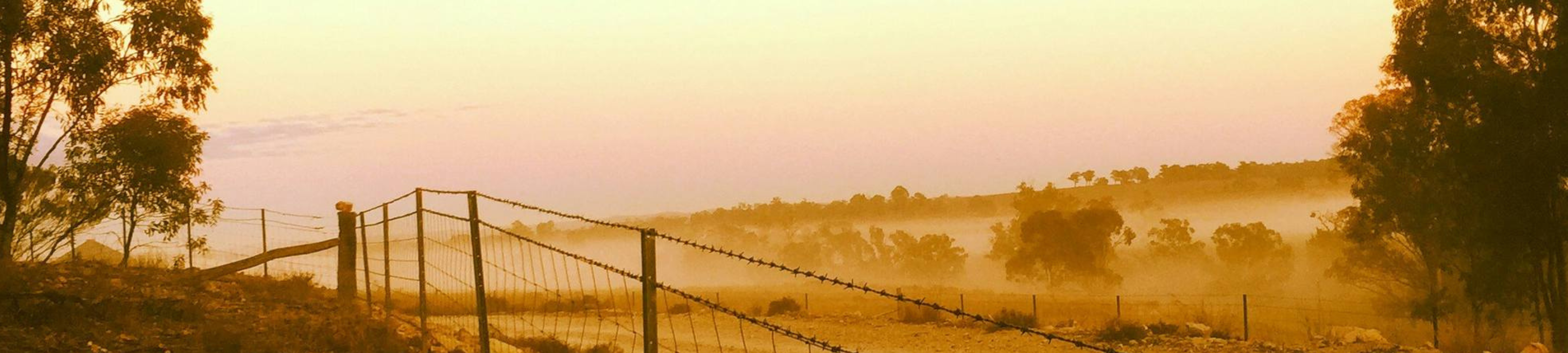 Ashleigh Buckett cover