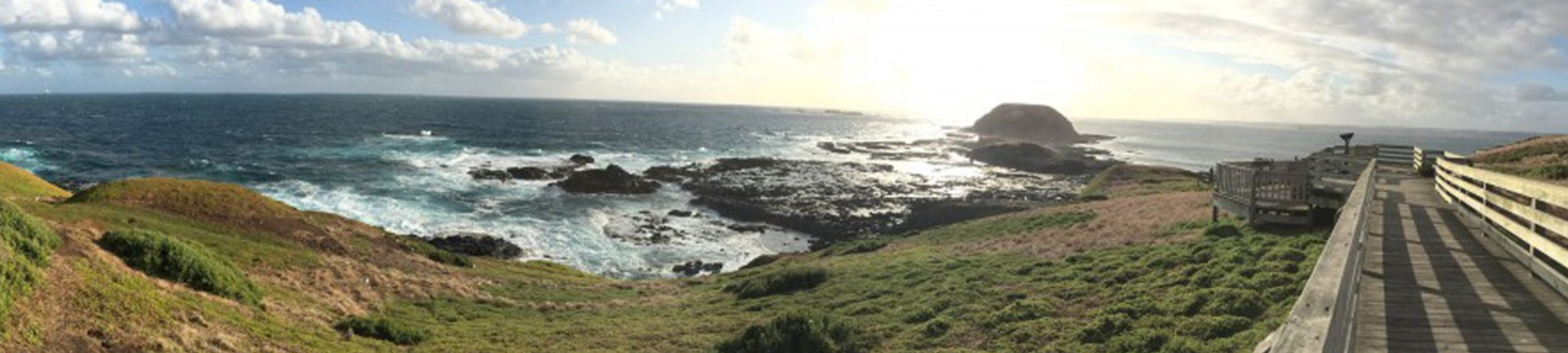 Young Young Co  cover