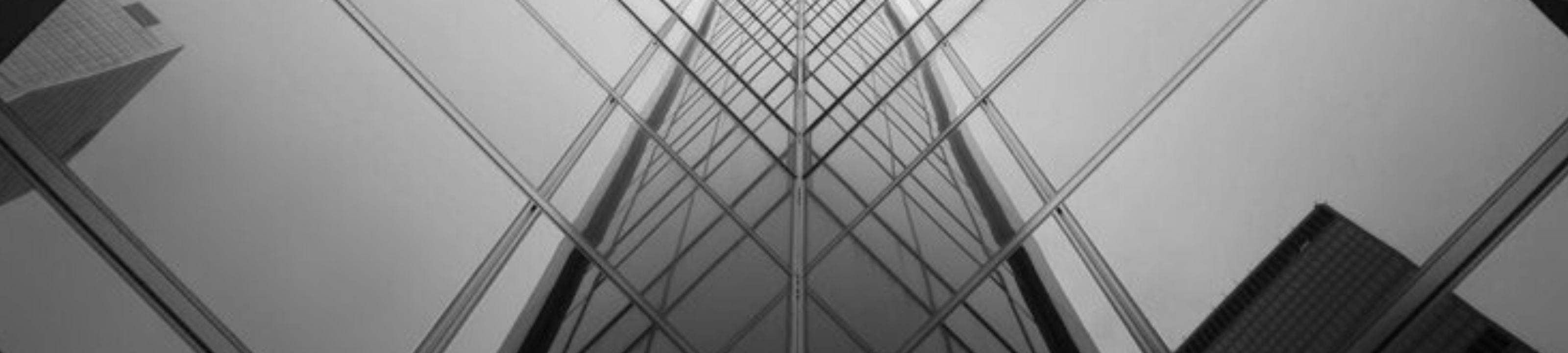 Lewis Seelenmeyer cover