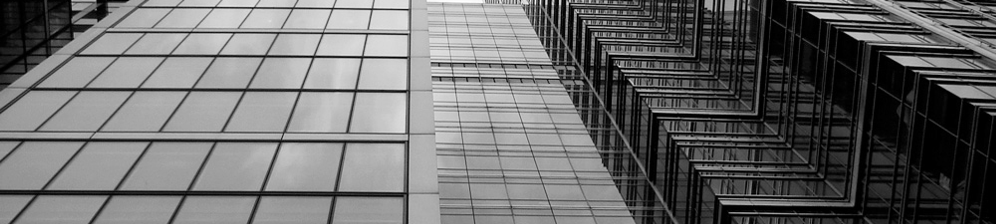 Pivot Business Lawyers cover