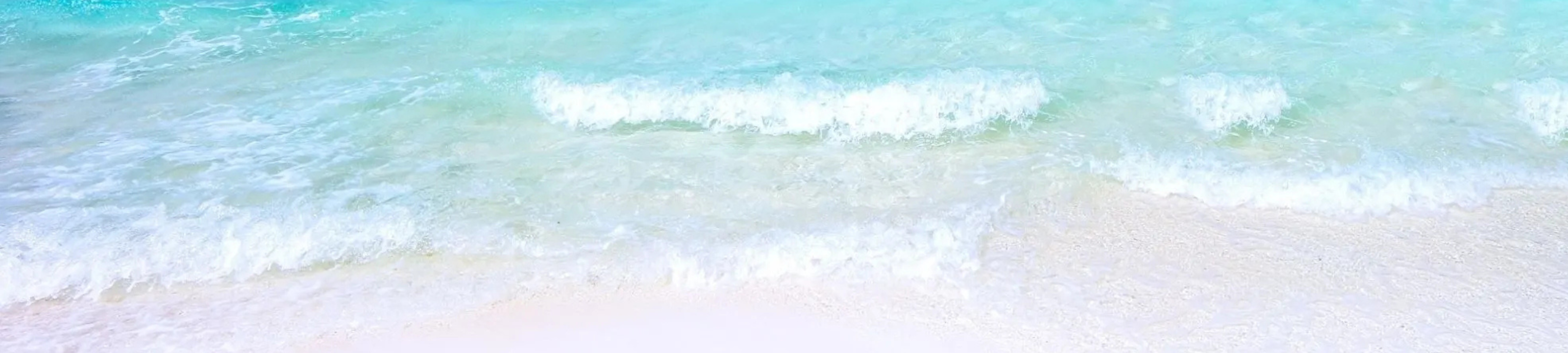 AC FAM Solutions cover