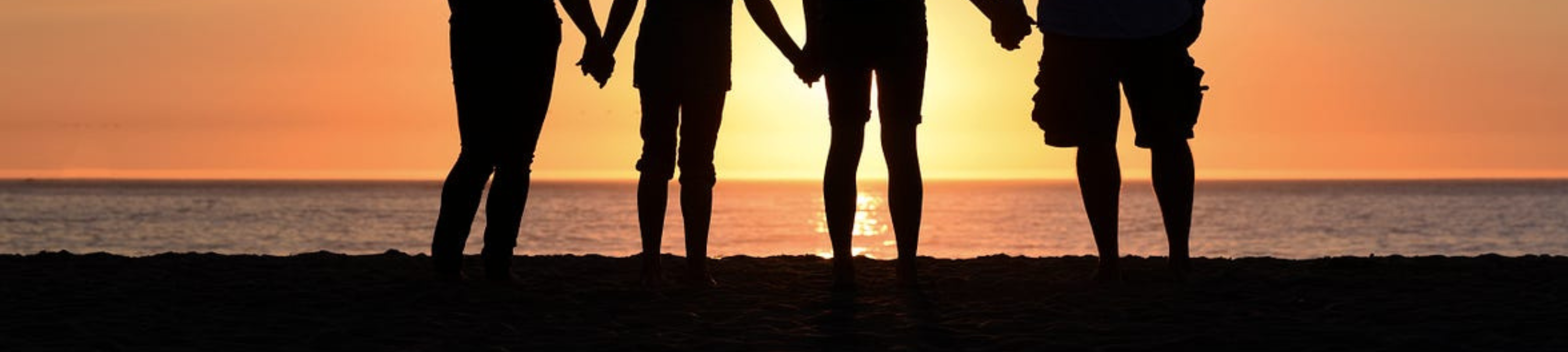 Fay Frischer Solicitor cover