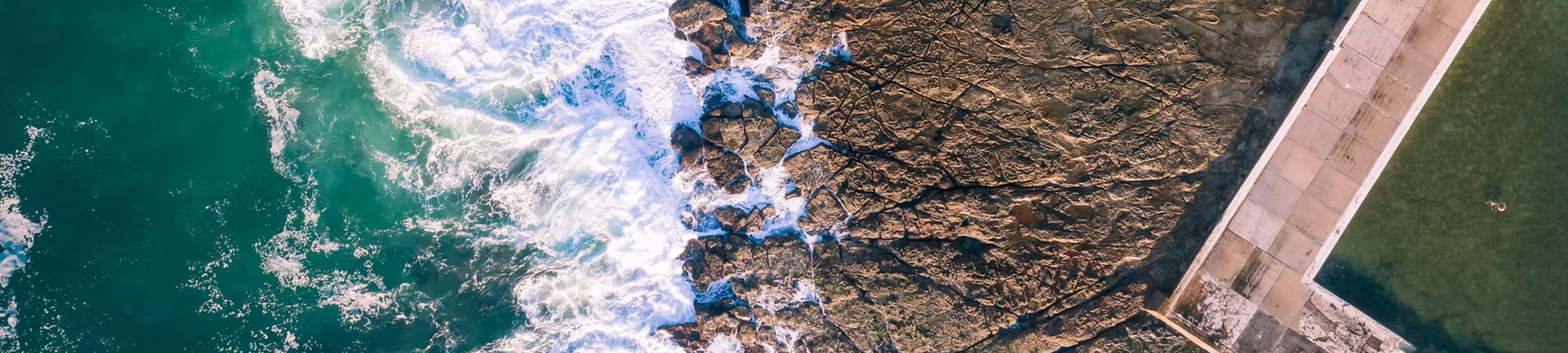 McGregor Legal cover