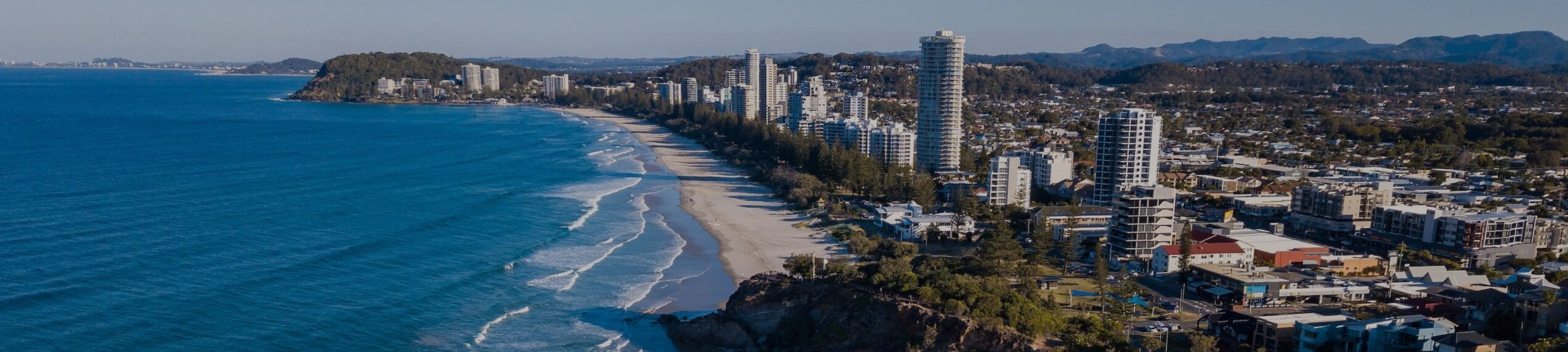 Warwick McCarthy cover