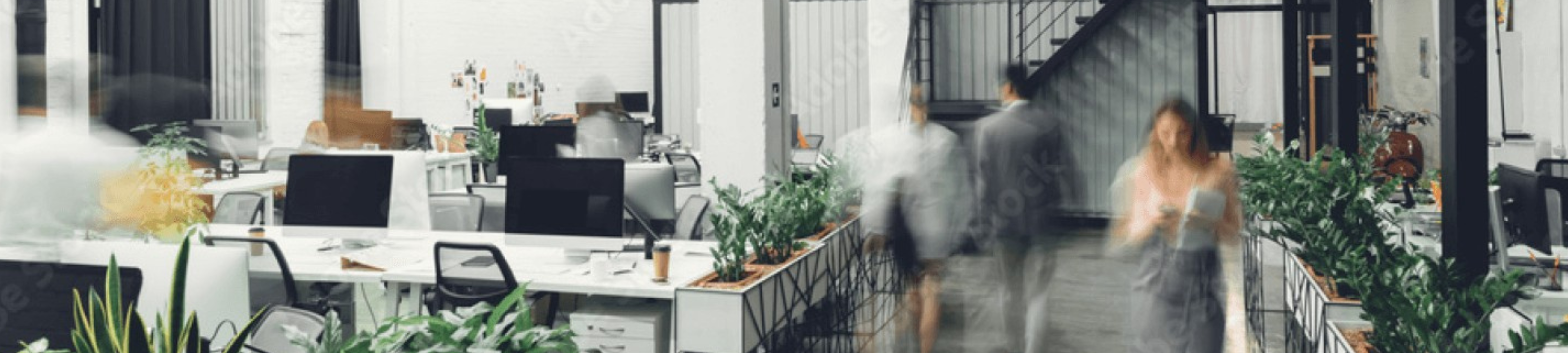 Petersen Westbrook Cameron cover