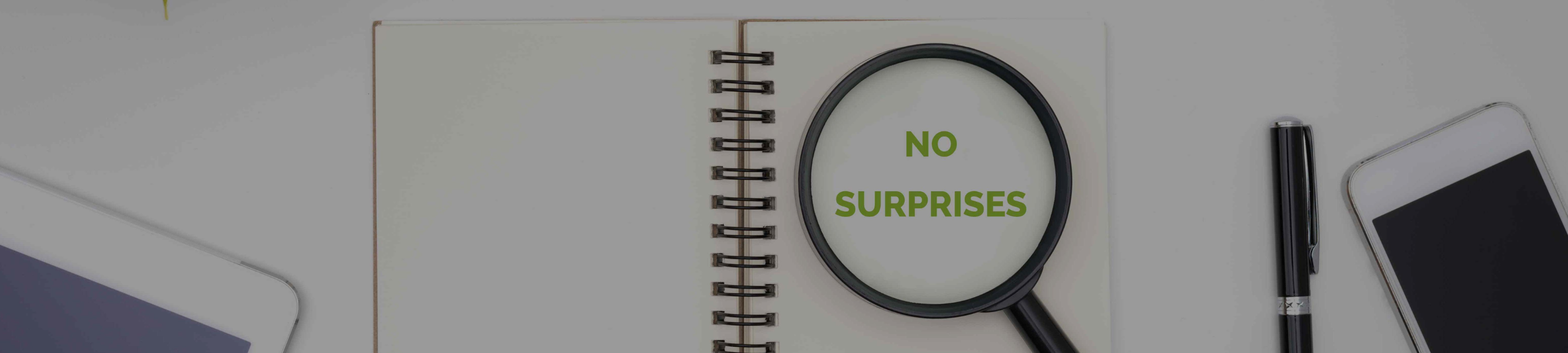 Ruth Livingstone cover