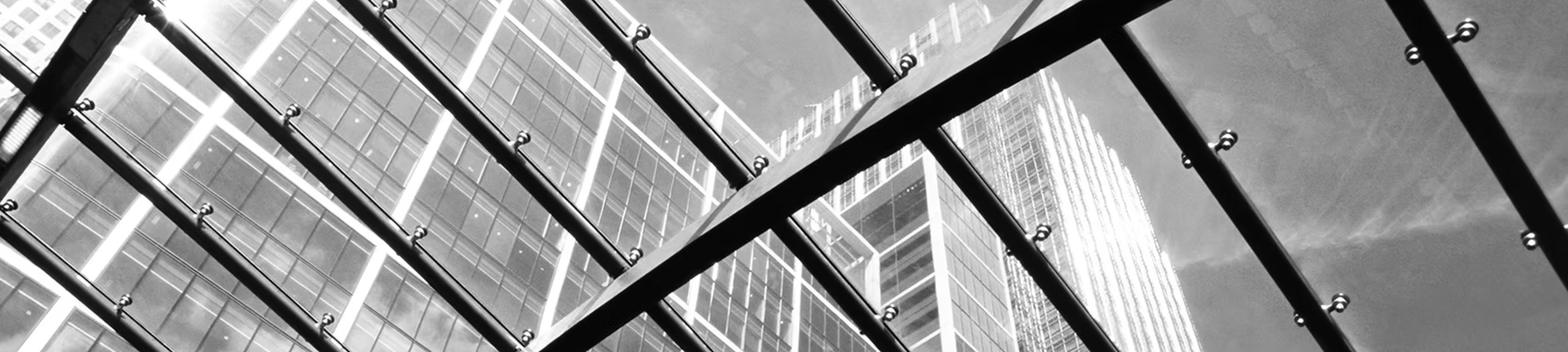 Schoenmaker Legal cover