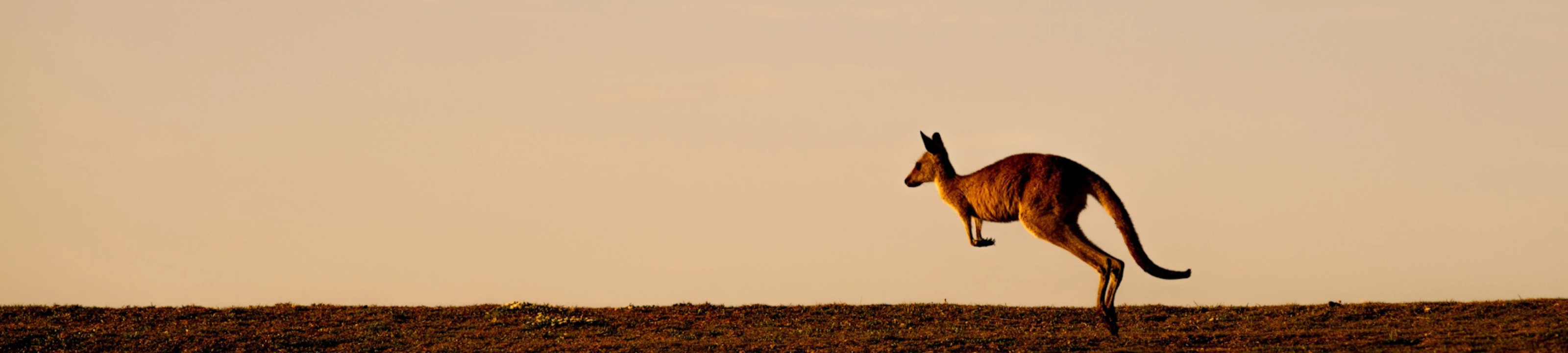 Maryann Young Legal Services and Migration cover