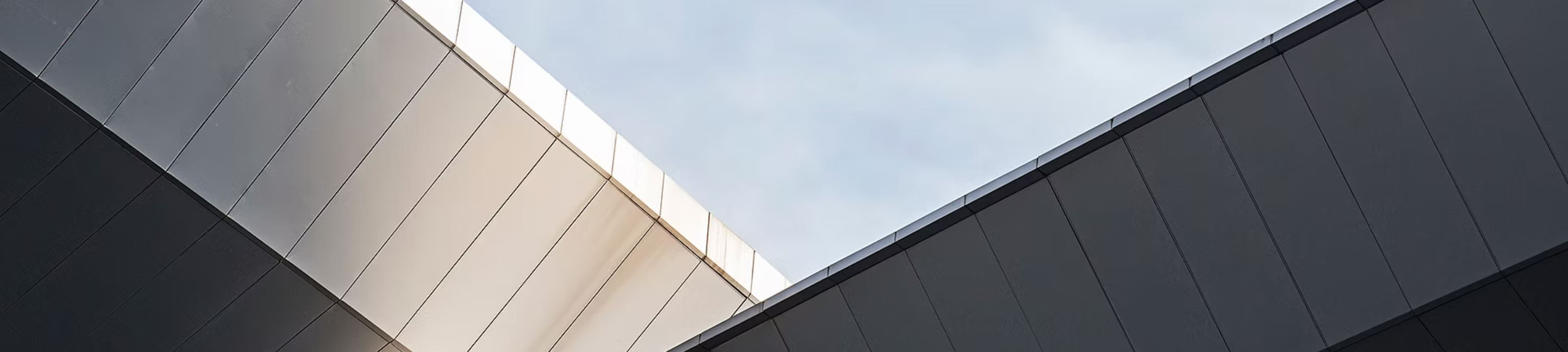 Natalie Strjland cover