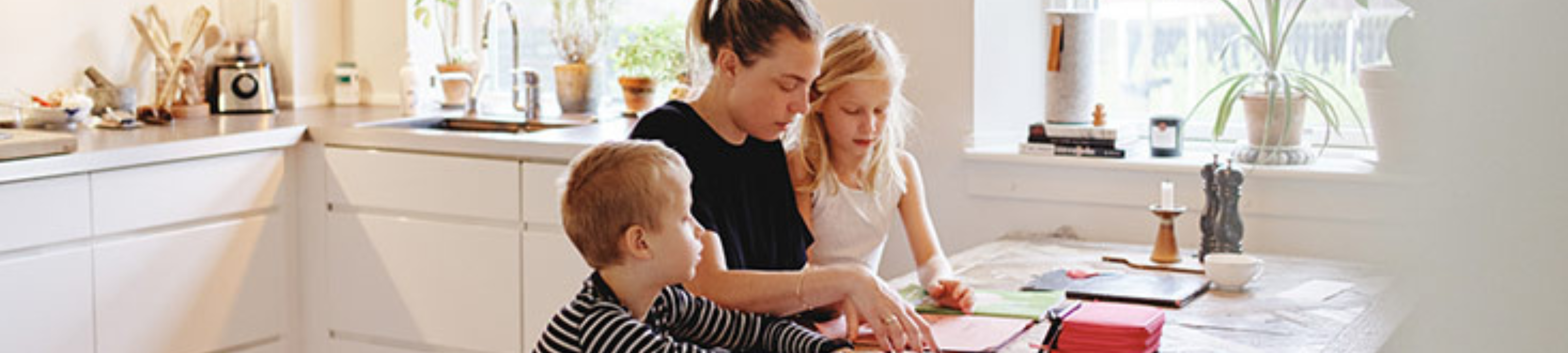 Nikolovski Lawyers cover