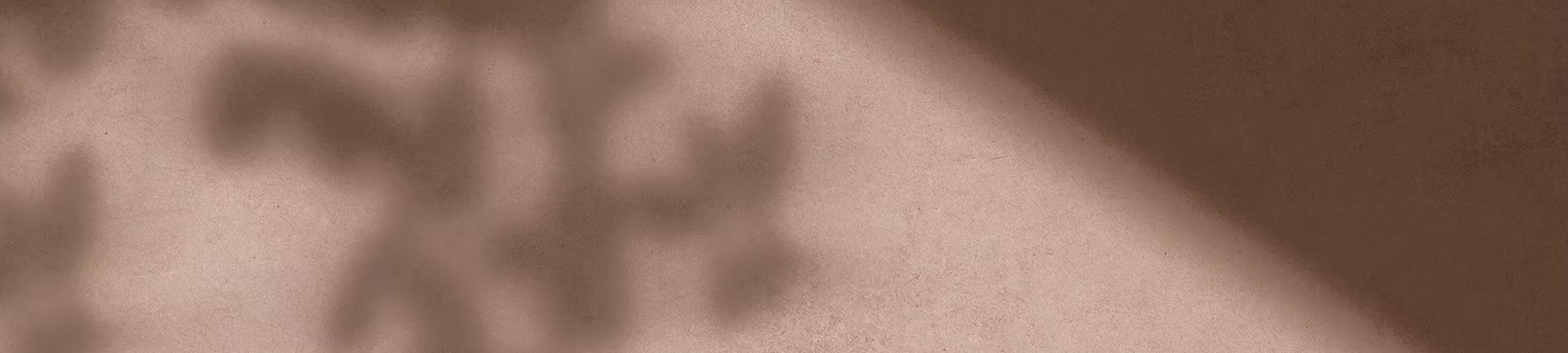 Country Law Practice & Associates  cover