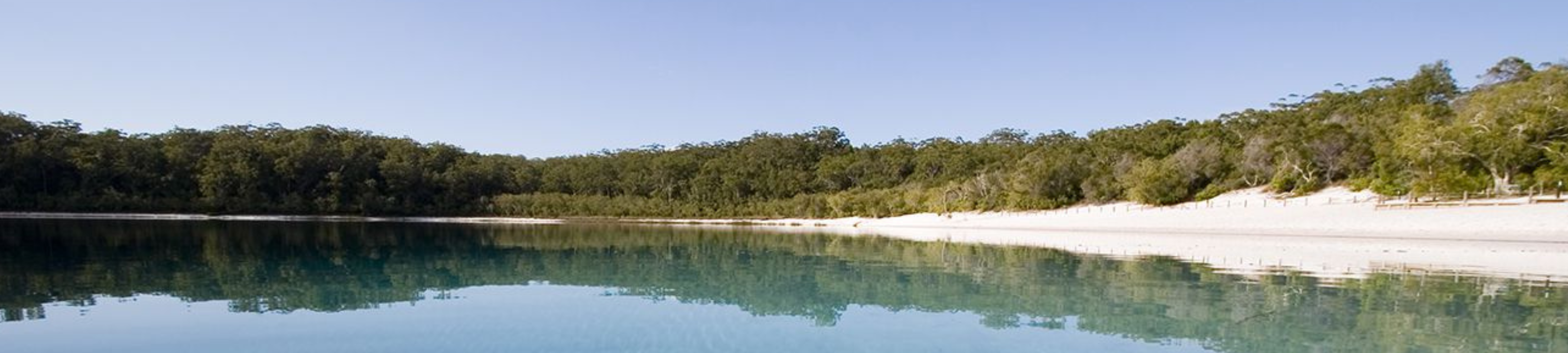 Bell Dixon Butler cover