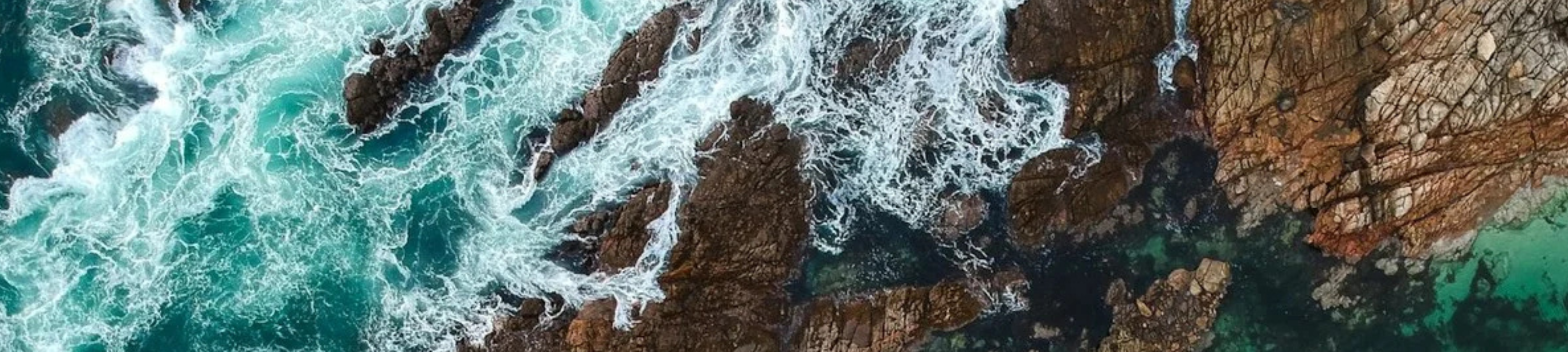 Nancy Belousov cover